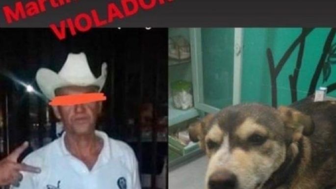 Un año de cárcel, la multa al hombre que violó y mató a perrita Mati en Neza