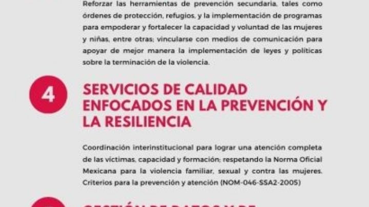 En el primer año de acción de Spotlight México, asesinatos de mujeres aumentan 9.74%