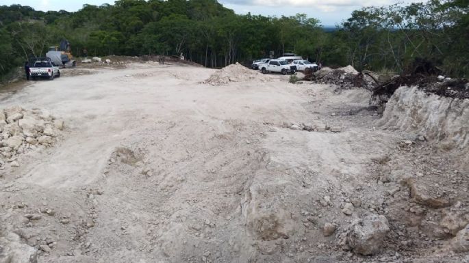 Colectivos de búsqueda de desaparecidos hallan dos osamentas en Veracruz