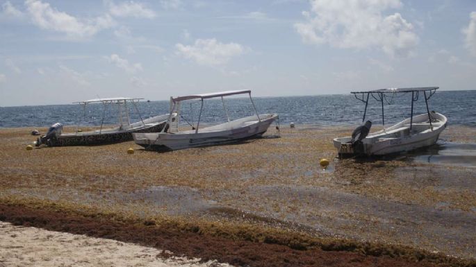 Semar combate covid y sargazo; Marina apoyó desembarco de ocho cruceros por razones humanitarias