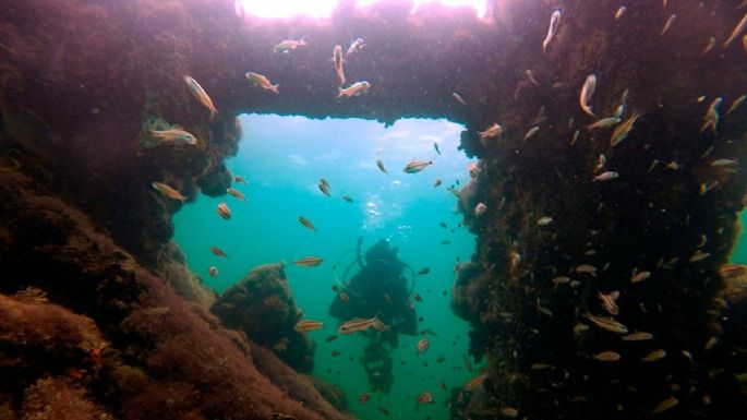 Hallazgo de pecio del siglo XIX en Yucatán revela su origen como nave esclavista