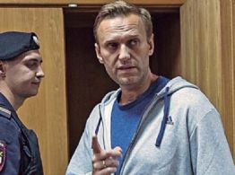 Alexei Navalni fue asesinado con neurotoxina presente en una rana originaria de Ecuador