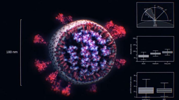 Empresa austriaca muestra imágenes en 3D del virus SARS-CoV-2