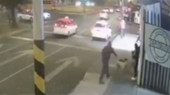 Un hombre mata de un balazo a un perro que le ladró (Video)