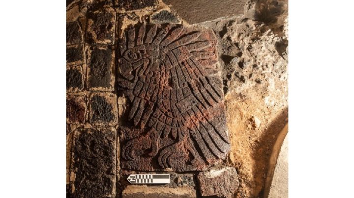 Otro hallazgo en Templo Mayor: un bajorrelieve con la imagen de un águila real