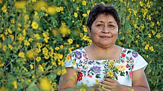 Leydy Pech, por las abejas y la tierra