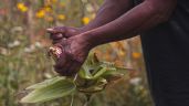 Registro Agrario Nacional negó reconocimiento como comuneras a 39 mujeres chontales de Oaxaca