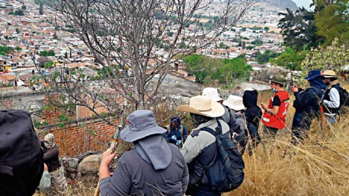 Buscadores de Guanajuato piden asistencia internacional
