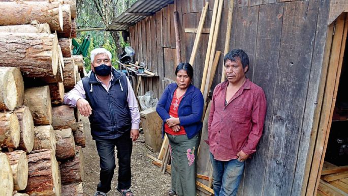 "Ya no más intimidaciones", exige la familia de Ernestina Ascencio