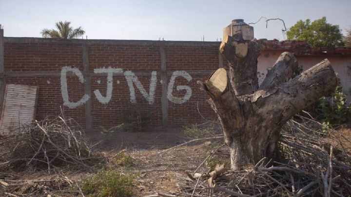 CJNG rechaza haber emboscado a militares en los límites de Jalisco y Tepalcatepec