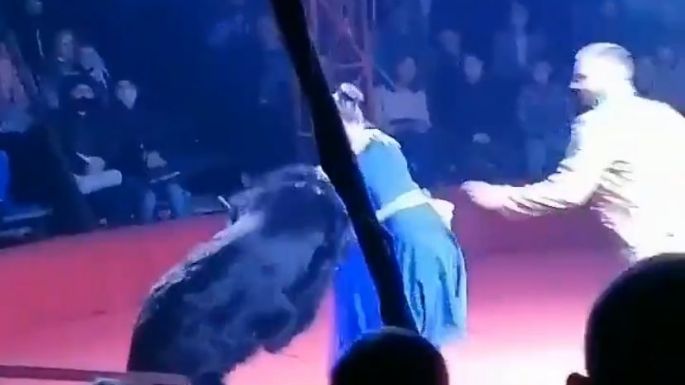 Oso ataca a la esposa embarazada del domador en un circo ruso