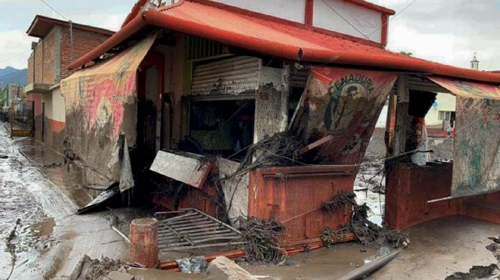 Jalisco: Devastador cambio de uso de suelo