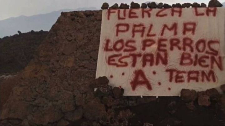 Así fue como “A Team” rescató a los perros atrapados por la lava en la zona restringida en La Palma