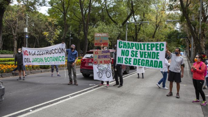 Cultura rechaza afectación del Jardín Botánico por construcción de Pabellón Artístico en Chapultepec