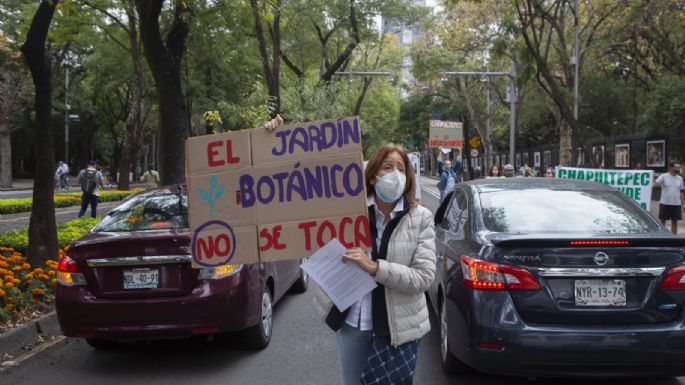 Cultura rechaza afectación del Jardín Botánico por construcción de Pabellón Artístico en Chapultepec