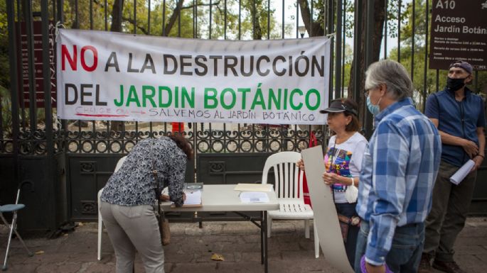 Cultura rechaza afectación del Jardín Botánico por construcción de Pabellón Artístico en Chapultepec