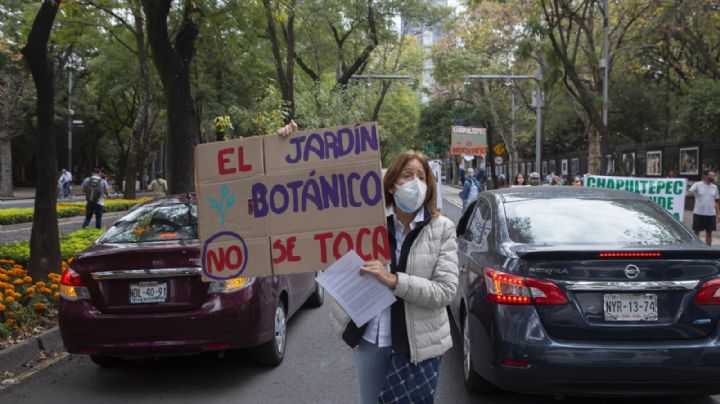 Cultura rechaza afectación del Jardín Botánico por construcción de Pabellón Artístico en Chapultepec