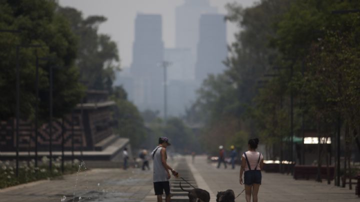 Vivir en un medio ambiente sano, sin riesgos, limpio y sostenible es un derecho humano: ONU