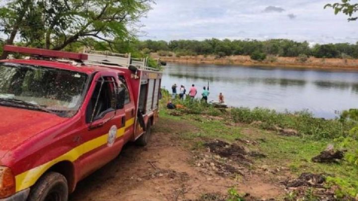 Huye de un enjambre de abejas, se tira a un lago y lo matan pirañas