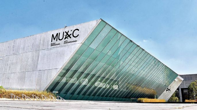 "Océano acústico", de Úrsula Biemann se exhibe en el MUAC