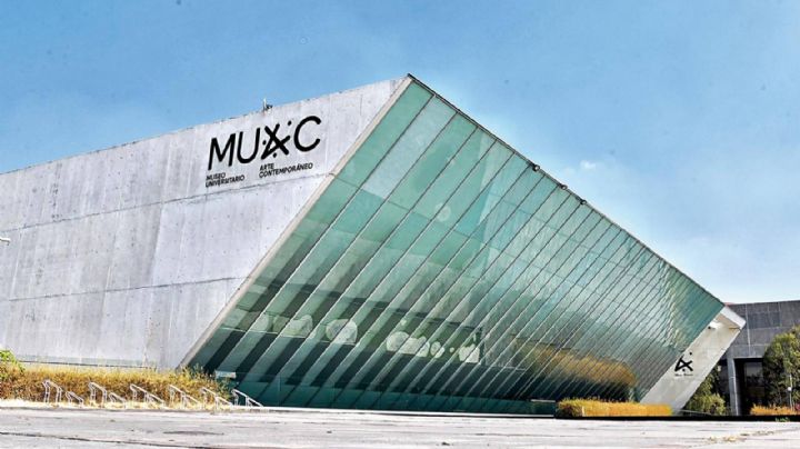 "Océano acústico", de Úrsula Biemann se exhibe en el MUAC