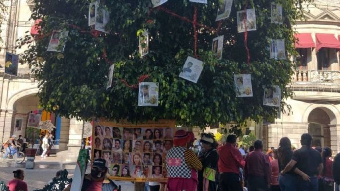 Ayuntamiento de Puebla retira fotografías de desaparecidos colocadas en árboles del zócalo