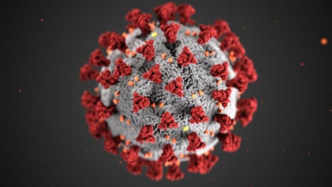 Investigadores detectan en SLP nueva cepa del virus SARS-CoV-2