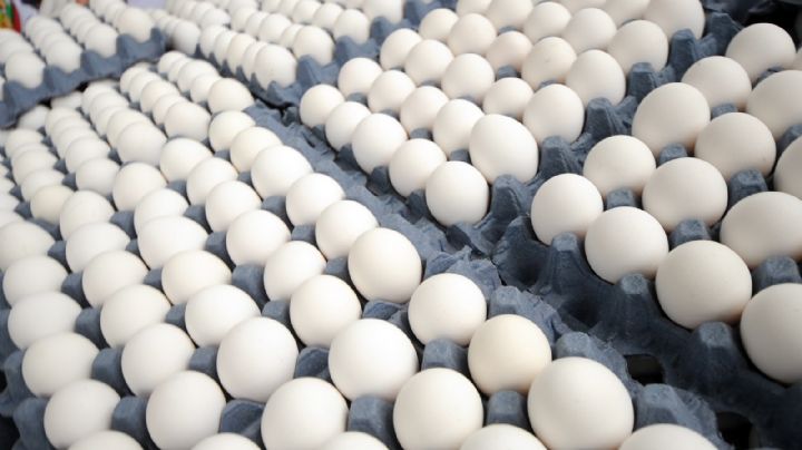 Un estudio liga el consumo diario de huevo a mayor mortalidad