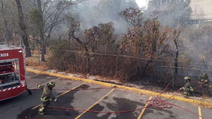 Incendio de pasto seco y hojarasca junto al Universum de CU; ya fue controlado