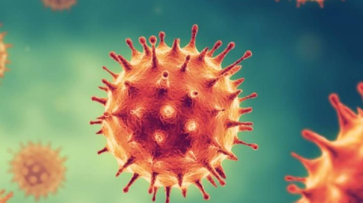Muertes diarias por coronavirus en EU aumentaron 131% en el último mes: CDC