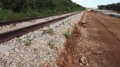 Foto ilustrativa de la nota titulada: Juzgado ordena detener obras del Tren Maya en Mérida, Chocholá e Izamal