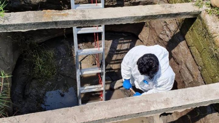Fiscalía de Jalisco ha exhumado 110 cuerpos de dos fosas clandestinas