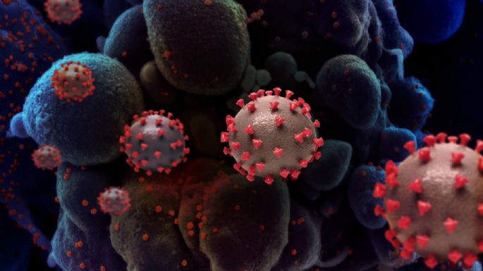 Detectan en Francia nueva variante del coronavirus con más mutaciones que Ómicron