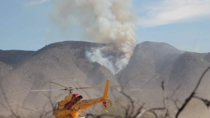 Combaten incendio en límites de Coahuila y NL; ceniza se esparce hasta 100 km