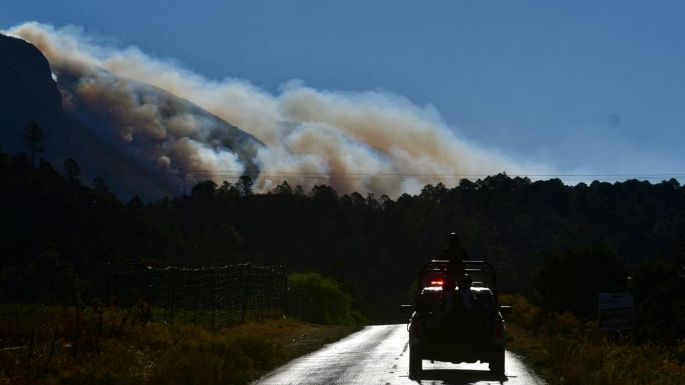 Diputados piden al gobierno destinar más recursos para combatir incendios forestales