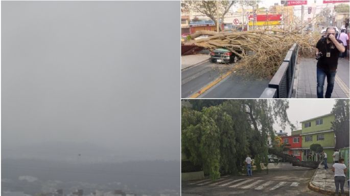 CDMX registra aire EXTREMADAMENTE malo y decenas de árboles caídos tras tolvanera