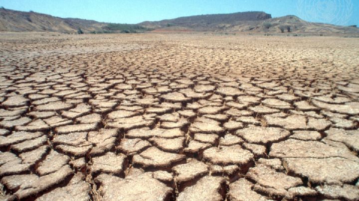 El 74% del territorio español está en riesgo de desertificarse, advierte Greenpeace