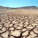 Región Valles del Yaqui y del Mayo: siembran trigo y cosechan deudas e incertidumbre
