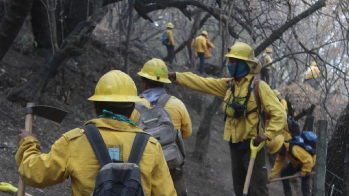 Controlado al 100% el incendio en la zona boscosa de Tepoztlán