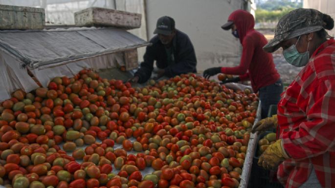 Salario de más de seis millones de trabajadores cayó a dos salarios mínimos entre 2018 y 2020: CEESP