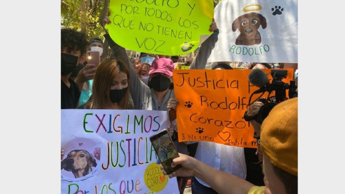 Marchan en Sinaloa para exigir justicia por la muerte del perro "Rodolfo Corazón"