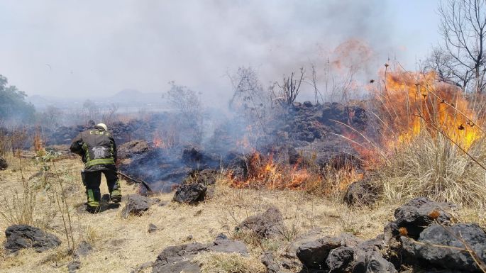 Los incendios forestales de 2021 generaron mil 760 megatoneladas de emisiones de carbono