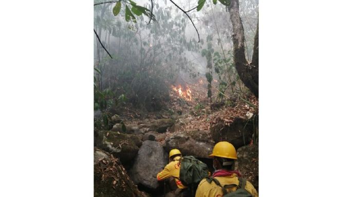 Piden auxilio para sofocar incendio en Santo Domingo Teojomulco, Oaxaca