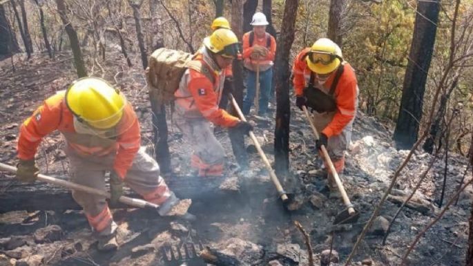 Hay en Chiapas 10 incendios activos, algunos en el Parque Nacional del Cañón del Sumidero