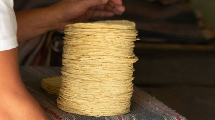 AMLO promete que el precio de la tortilla no aumentará en 2024