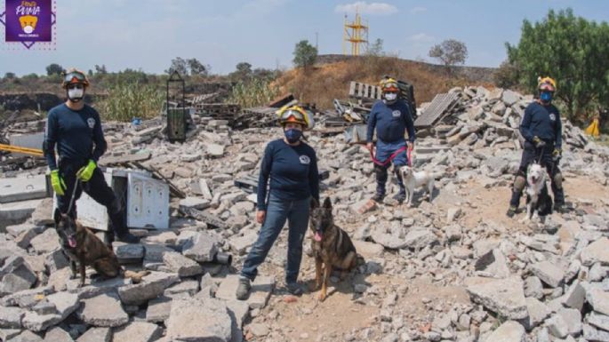 Unidad Canina K9: así es como la UNAM entrena binomios perro-humano para rescate en desastres