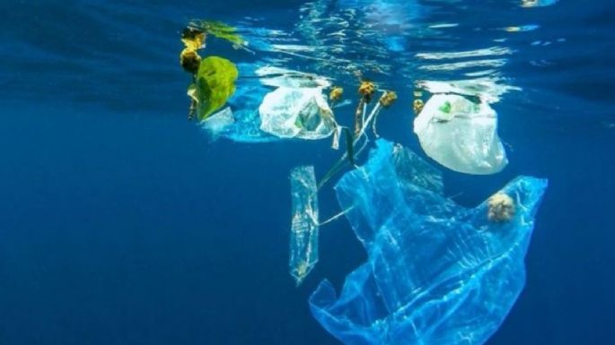 GloLitter, el proyecto para disminuir la basura marina en el mundo