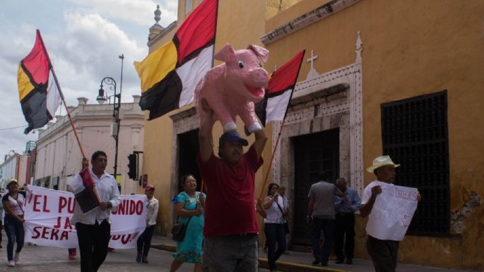 Comunidad de Homún pide a la SCJN mantener suspendidas operaciones de empresa porcícola