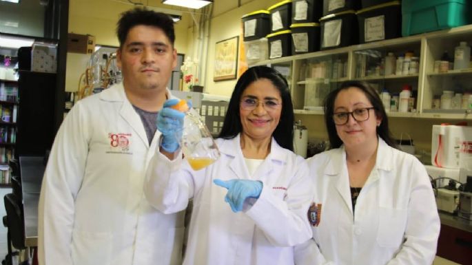 Científicos del IPN descubren un probiótico anticancerígeno proveniente del pulque