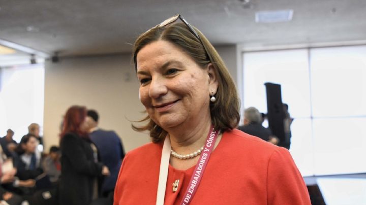 "Inusual", visita del director de la CIA a México: Martha Bárcena